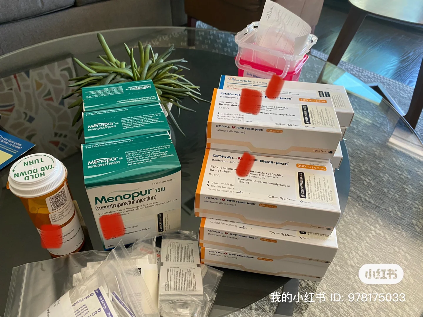 IVF 周期用药方案与细节分享